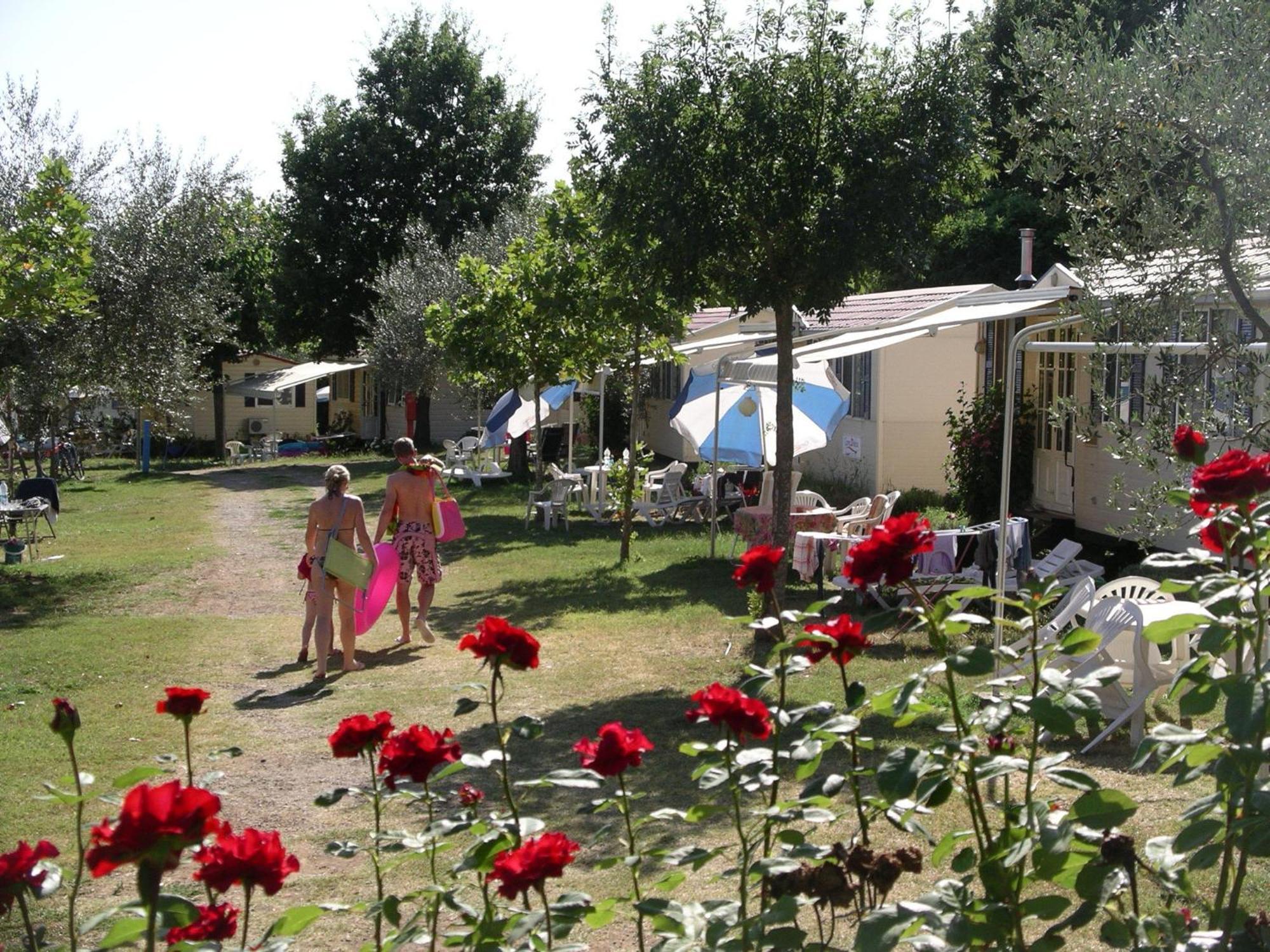 Blu International Camping Μπολσένα Εξωτερικό φωτογραφία
